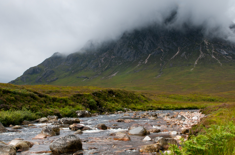 Mountain Mist